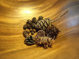 Pine Cones in a bowl