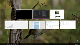 Windows 10 Desktop