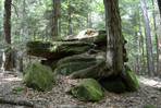 Cook Forest Boulders