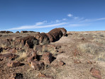 Petrified wood at Petrified Forest National Park